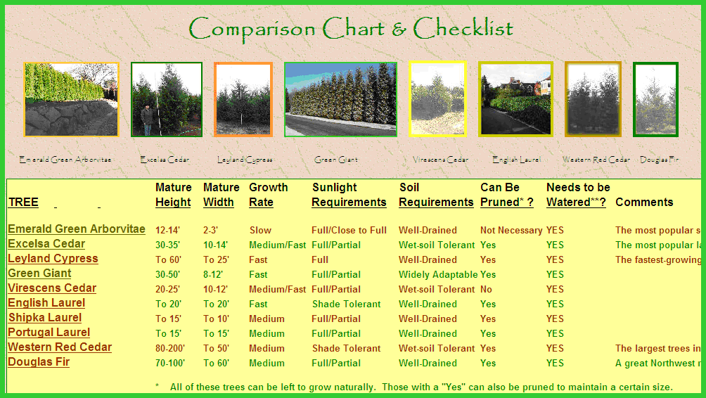 Oak Tree Comparison Chart