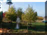 PA220101.JPG (62960 bytes)