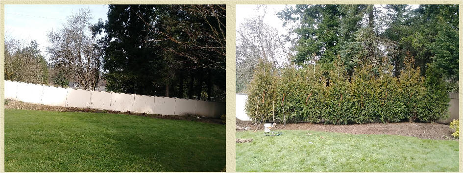 Excelsa Cedar proactive screening