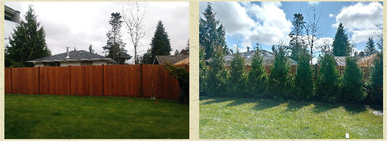 Emerald Towers before and after