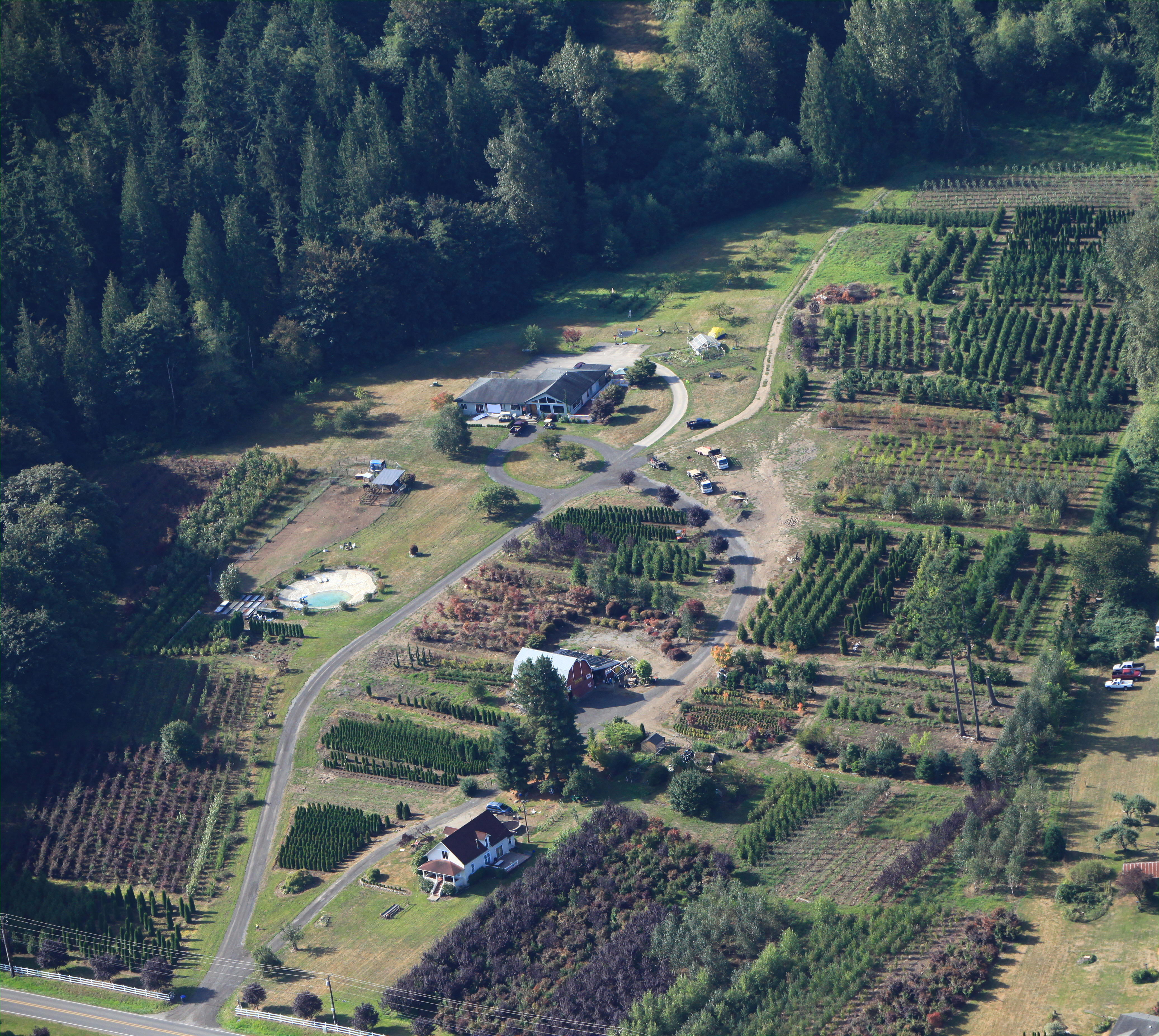 Aerial view of NurseryTrees.com farm in Snohomish