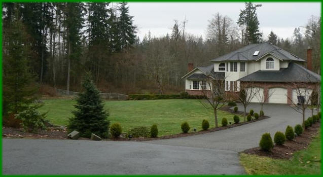 Boxwood along driveway with Thundercloud Plum