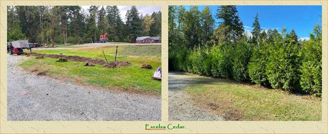 Before and After and After and After