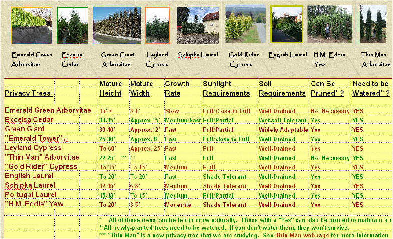 Privacy Tree Comparison Chart