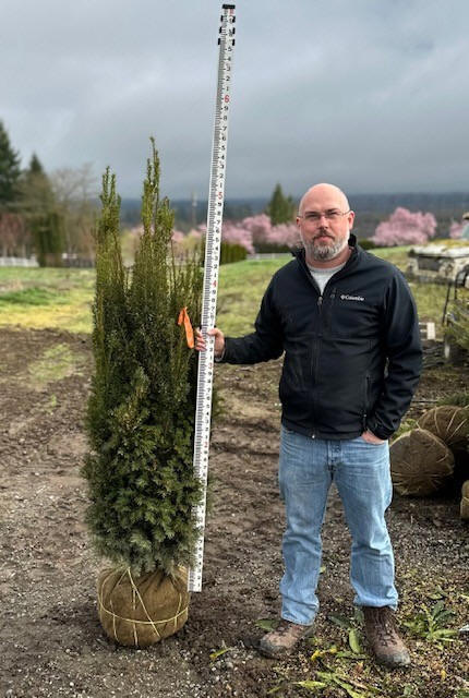 H.M. Eddie Yew at our Snohomish tree farm
