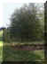 photoditto_032.jpg (59452 bytes)